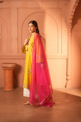 Lemon Green Lawn Embroidered Kurta Set with Dupatta
