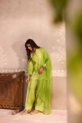Parrot Green Dola Silk Farsi Salwar Set